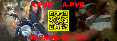 индика Нальчик